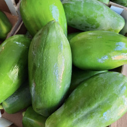 Green Papaya 1pcs Naturinda