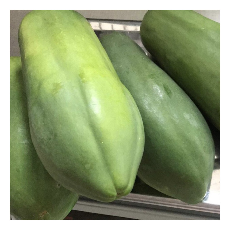 Green Papaya Maxico 1 pc